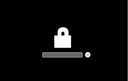 Apple Bios Password